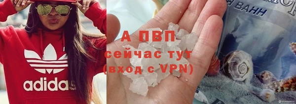 шишки Верея