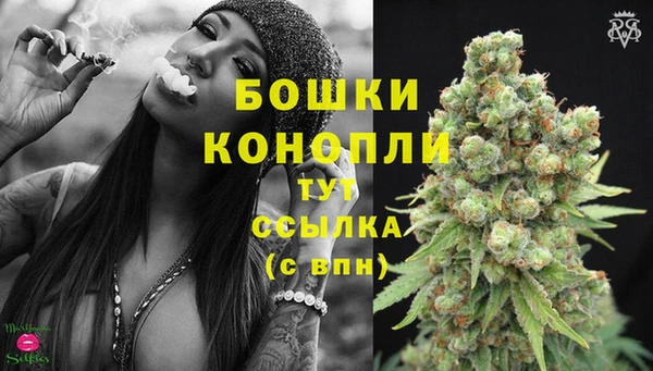 стафф Верхний Тагил