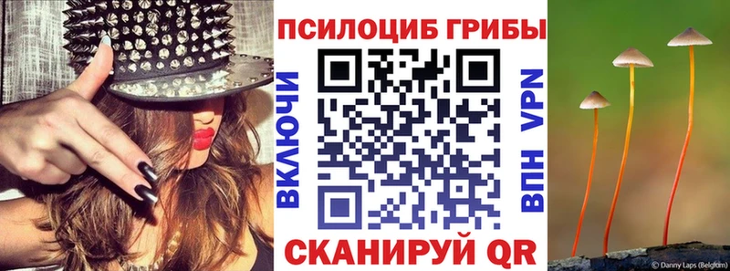 Галлюциногенные грибы мицелий  Верхняя Пышма 