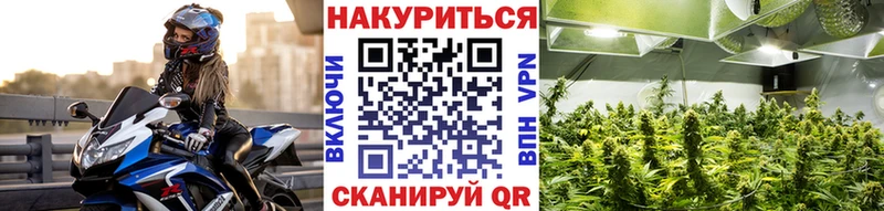 Каннабис планчик сколько стоит Верхняя Пышма